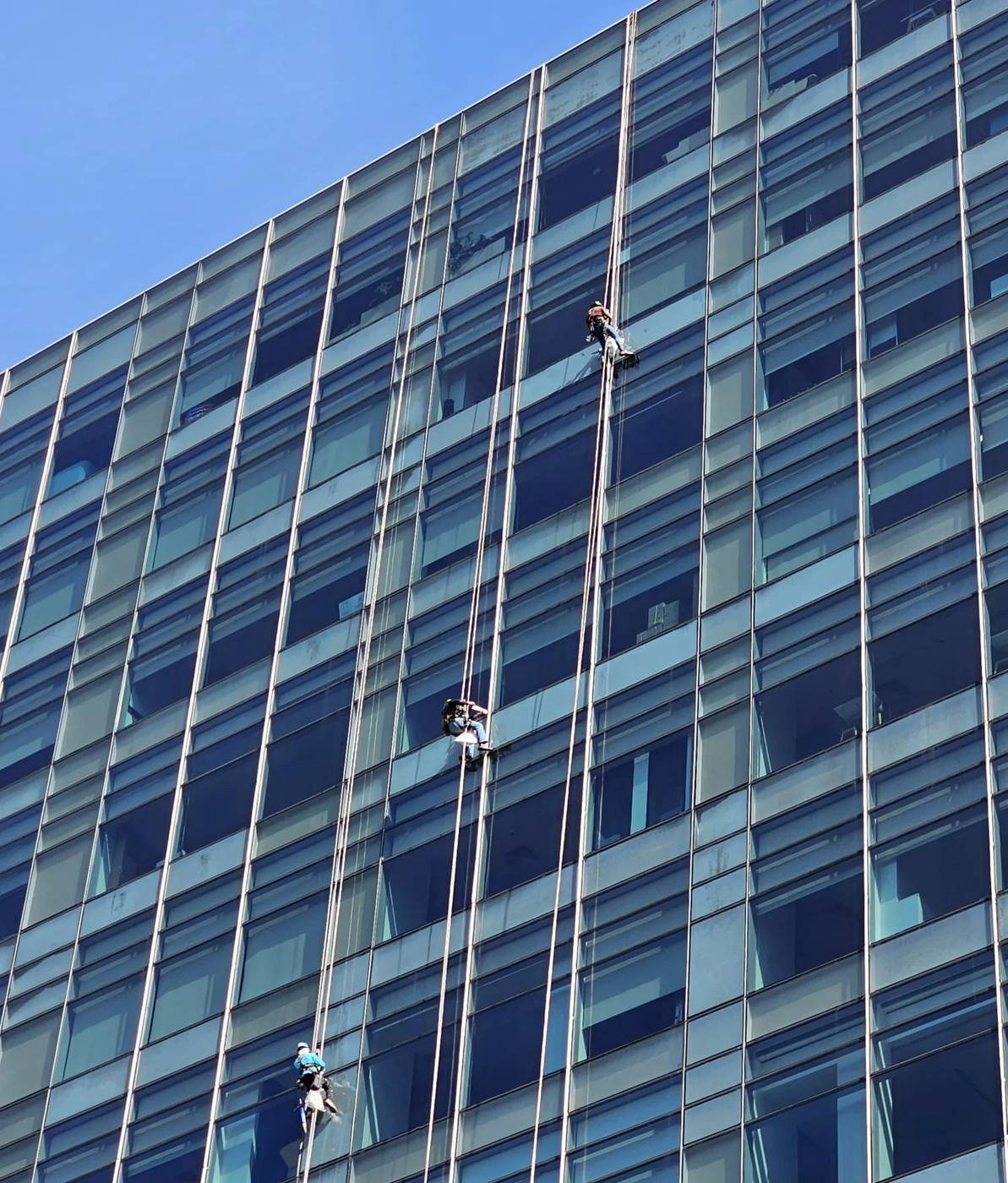 rope access technicians on a glass tower in Singapore carrying out external wall seepage repair